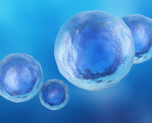 3D rendering illustration of human stem cells